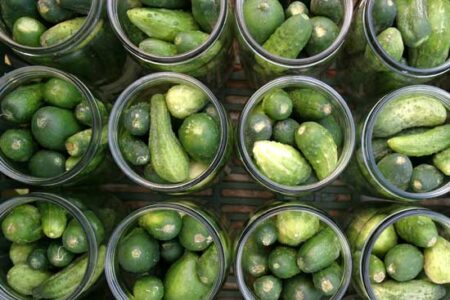 Making Fermented Pickles
